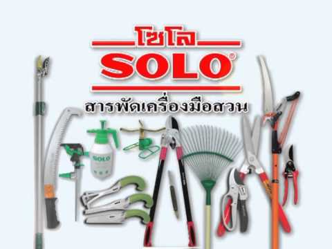 15  SOLO ชุด 2