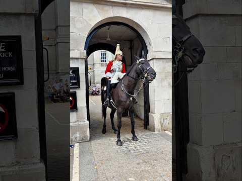 Didn T Listen Watch What The King S Guard Did Next