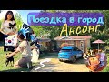 Международная выставка собак г.Ансонг/Кафе на природе/Наш ночлег в деревне/Part 1/KOREA VLOG