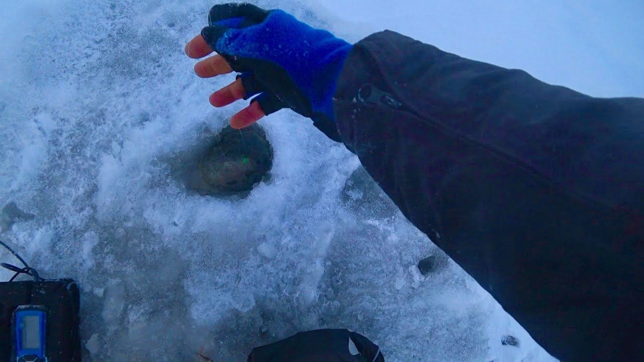 БЕЗ МАТА НЕ КАК ТАМ ЧТО ЗА РЫБИНА ЕЩЕ И УДОЧКУ СЛОМАЛ рыбалка зимой в ...