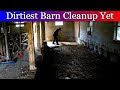 Barn Renovation - Clearing out area for a chicken coop.