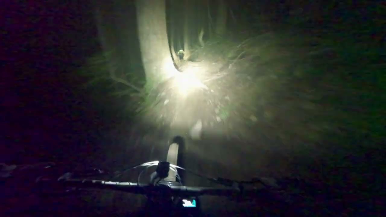 A Night at Tiger Mountain: Atlas