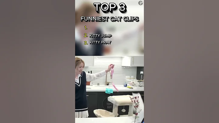 Watch the video about TOP 3 FUNNIEST CAT CLIPS #shortvideo #cat #catvideos #viral #funny #cute #cutecat #viral #fyp #cats