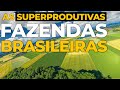 POR QUE o AGRONEGÓCIO Brasileiro é tão IMPORTANTE para o MUNDO?