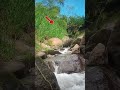 Ang misteryo sa talahiban ng ilog 💦#misteryo #kababalaghan