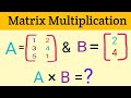 Multiplying a matrix by a matrix || Matrices || Matrices Multiplication