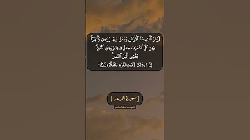 سورة الرعد الآية ٣ بصوت الشيخ محمد صديق المنشاوي