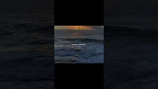 Elvedayla Süslenmiş Bir Yarının Dünündeyim Tiktok 