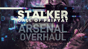 S.T.A.L.K.E.R. CoP #2 : Arsenal Overhaul mod chill