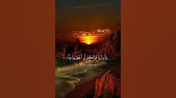 إِنَّ الَّذِينَ يَخْشَوْنَ رَبَّهُم بِالْغَيْبِ لَهُم مَّغْفِرَةٌ وَأَجْرٌ كَبِيرٌ (12) / سورة الملك