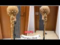 Nandini Makeover is live with new hairstyle