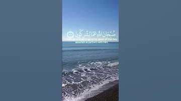 سورة الحشر الآية 26 و 24 بصوت الشيخ  محمد الفقيه