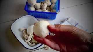 如何清洗蘑菇又能保持甜度？ 