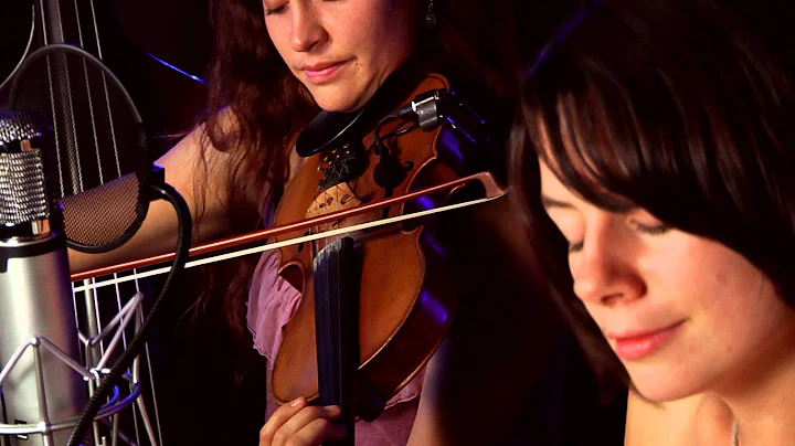 Elephant Revival "Ancient Sea"