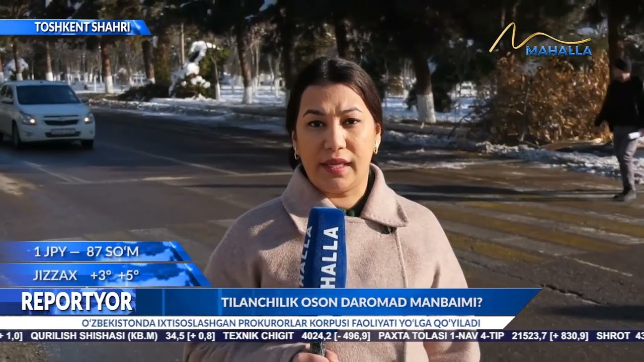 Tilanchilik oson daromad manbaimi?