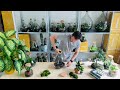 How to make a do it yourself diy terrarium