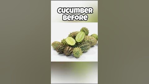 How Fruits and vegetables Looked Before Humans Changed Them#youtubeshorts #shortsfeed #shortsvideo