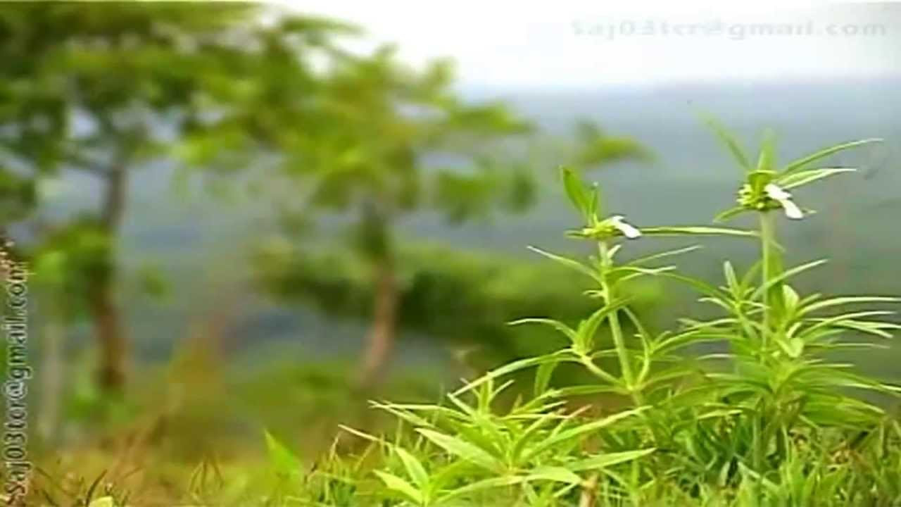 Malayalam Album  Song  Ente Nadu Ente Vedu Ente Onam