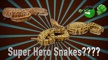 NEW ULTRAMEL’S YOU NEED TO SEE!!!