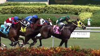 Gulfstream Park Replay show | August 18, 2018