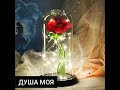 Мадина Юсупова - Шалхо