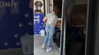 Full ADOPTED! Michi - Available for adoption at Priceless Pet Rescue Update