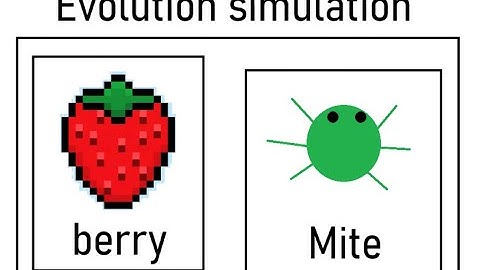 Evolution simulation exploration video