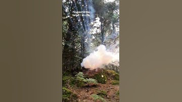 Firebird 50 Bio Explosive Target. shot with air rifle!