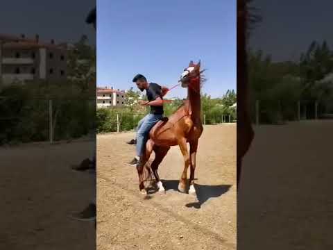 22 September 2022  22 September 2022