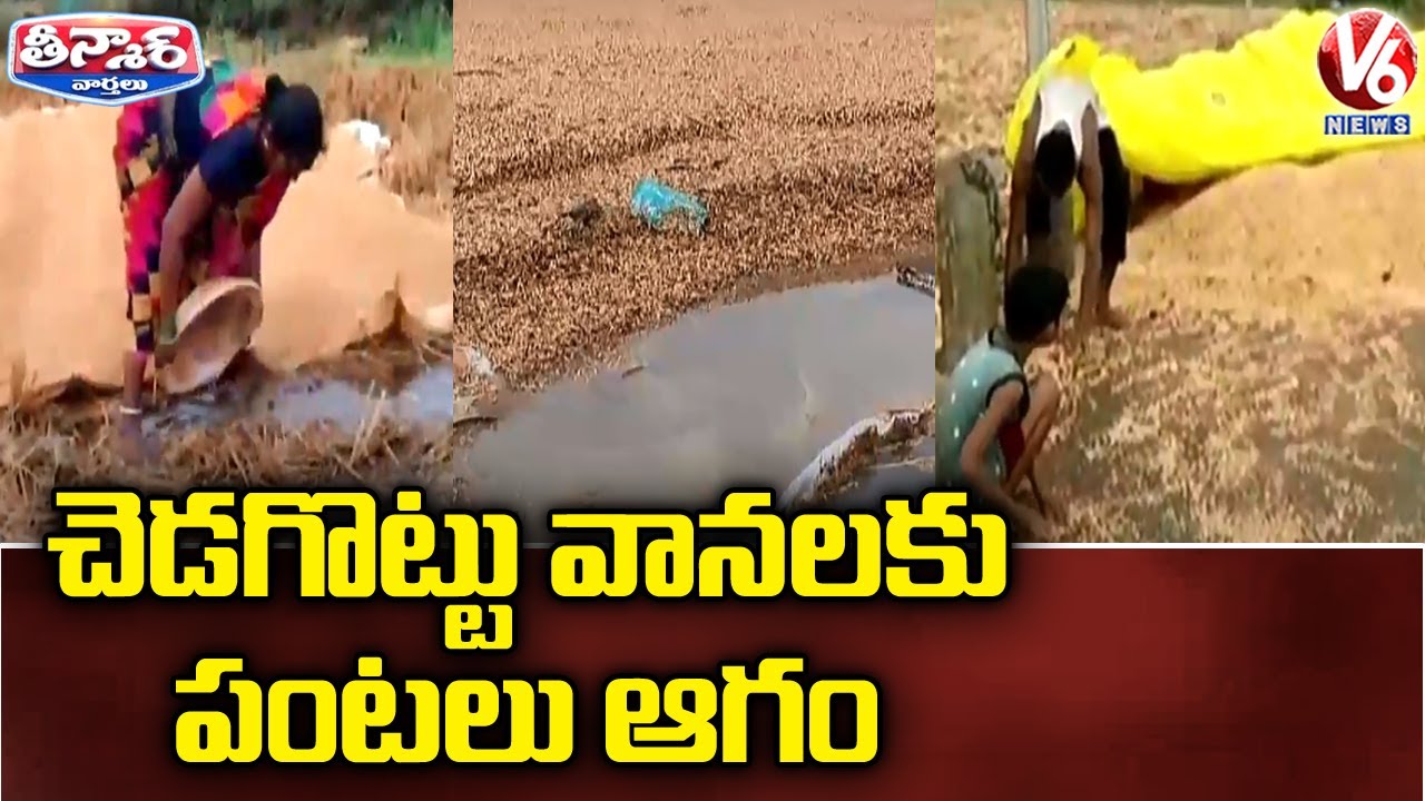 Farmers In Distress after Unseasonal Rains Damaged Crops | V6 Teenmaar ...