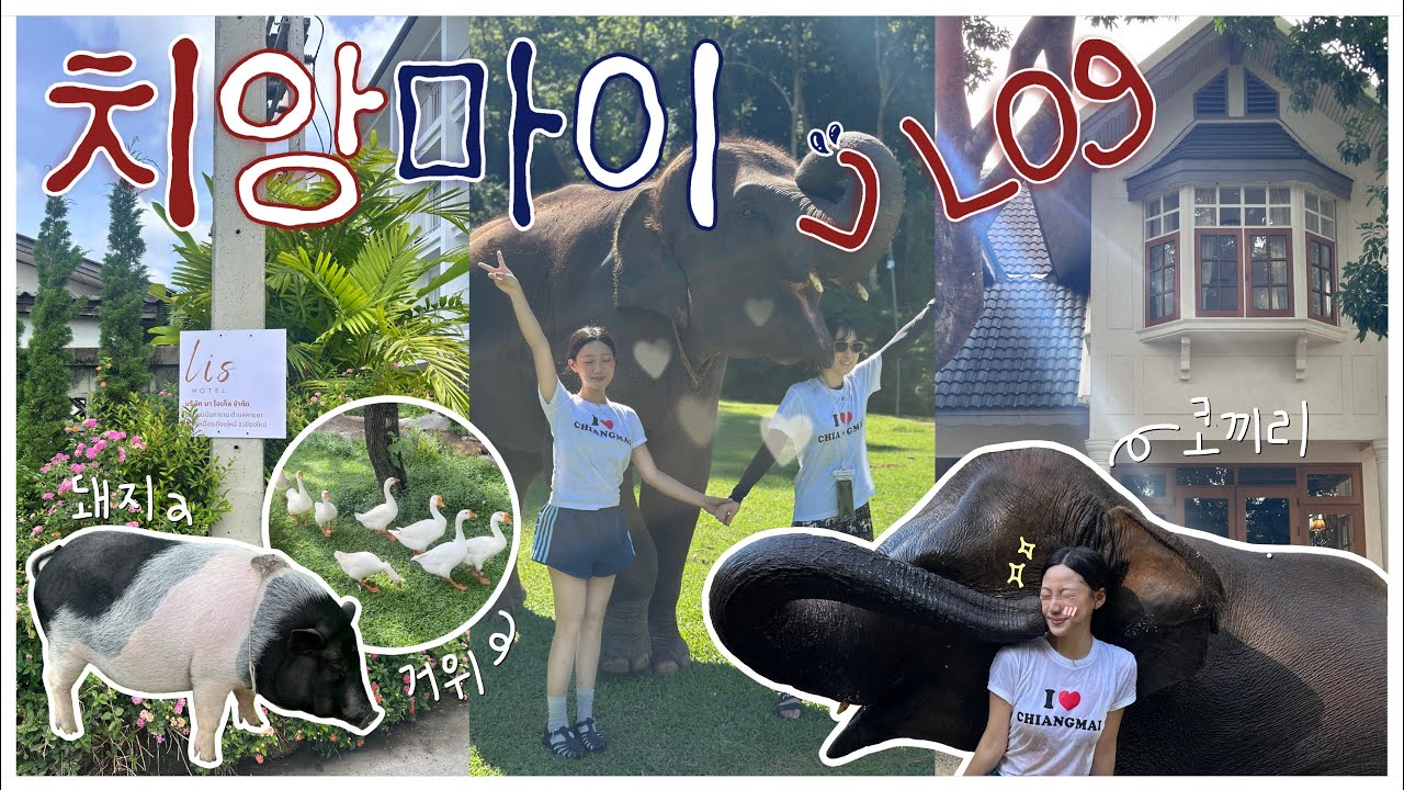 [4박6일 자매 치앙마이 브이로그] 코끼리 호텔 & 리스호텔 리뷰🐘🌸ㅣ 카페, 재즈바, 칵테일바, 마사지까지 완벽 코스 추천 🔥  ㅣ  자매여행이 이렇게 알찰 일?