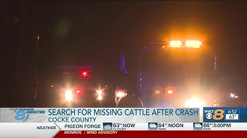 Catch Up Quick: Your headlines from 11/11 in 8 minutes or less