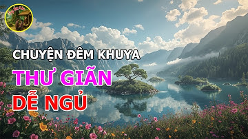 3 Câu Chuyện Cảm Động Về Lòng Tốt Bài Học Cuộc Sống Giúp Bạn Tin Yêu Cuộc Đời | Làng Việt Audio
