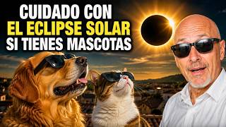 🚨 ASI AFECTARA EL ECLIPSE TOTAL SOLAR DEL 12 DE AGOSTO A PERROS Y GATOS 🌘🐶🐱 LO QUE DEBES SABER