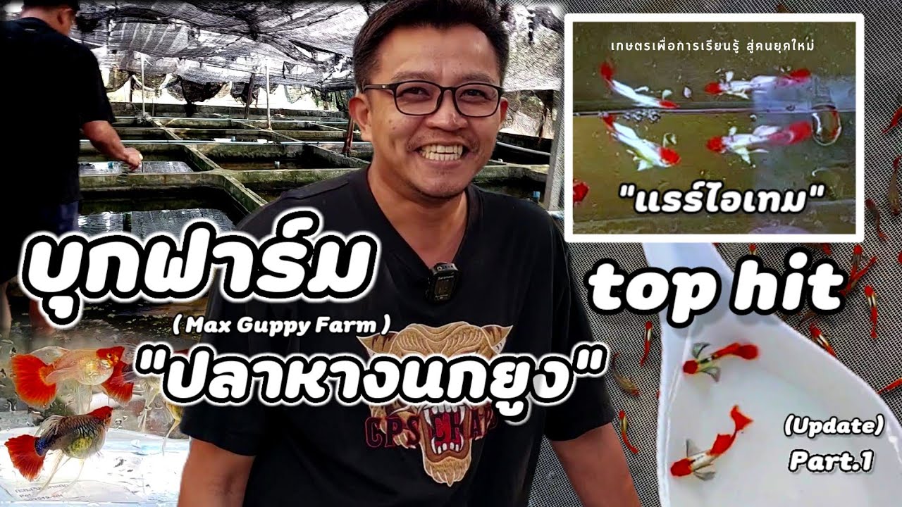 บุกฟาร์ม | Max Guppy 