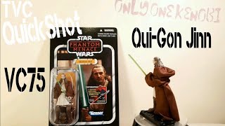 VC75 Qui-Gon Jinn - STAR WARS Vintage Collection