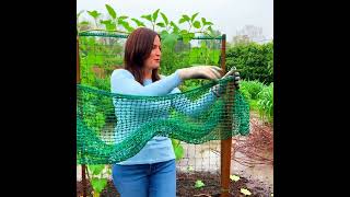 Game-Changing Plant Trellis Pergolas with Heavy-Duty Polyester #shorts #fyp #viral