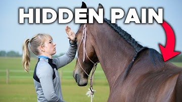 Horse Acting Weird Under Saddle? Check For This First