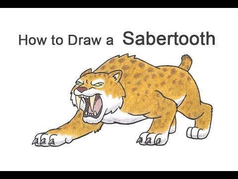 Saber Tooth Tiger Drawing Step By Step - Check out this step by step ...