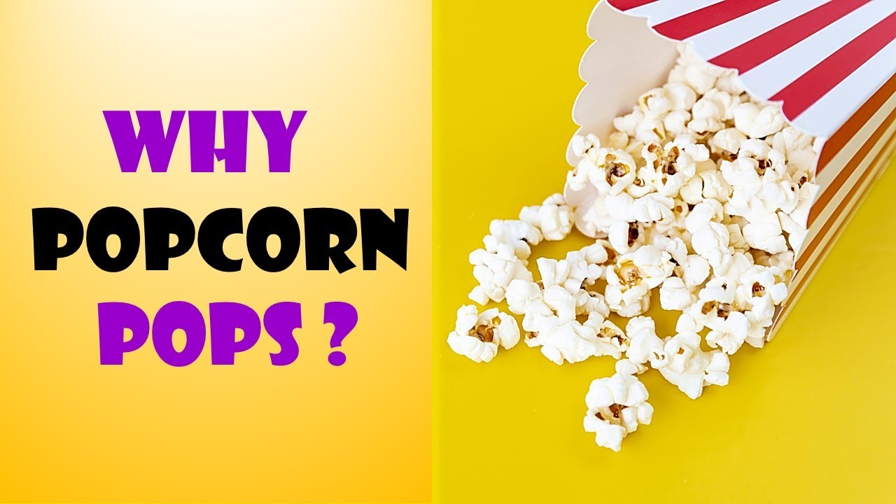 Popcorn why popcorn pops when heated ? YouTube