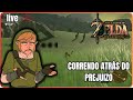 jogando Zeldinha ao vivo - #5- Breath of the wild / Putz perdi meu save, começa tudo denovo!