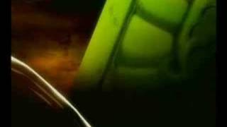 Saint Seiya (Libido - Eterno)