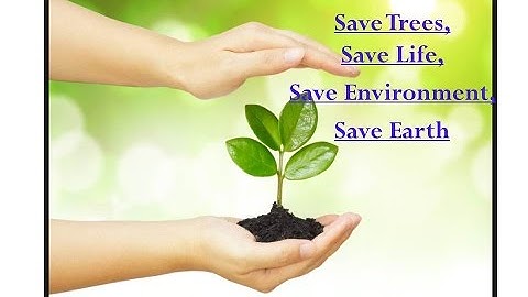Save Trees