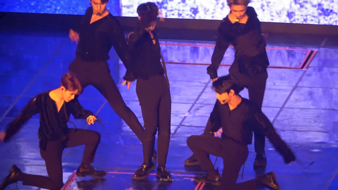 190309 SEVENTEEN IN CARATLAND FLOWER