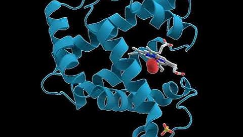 Bioinformatics | Wikipedia audio article