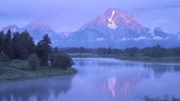 The Presuppositions of NLP