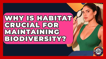 Why Is Habitat Crucial For Maintaining Biodiversity? - The Everyday Why
