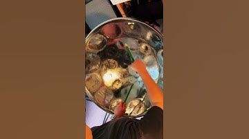 Under the Sea, Disney The Little Mermaid