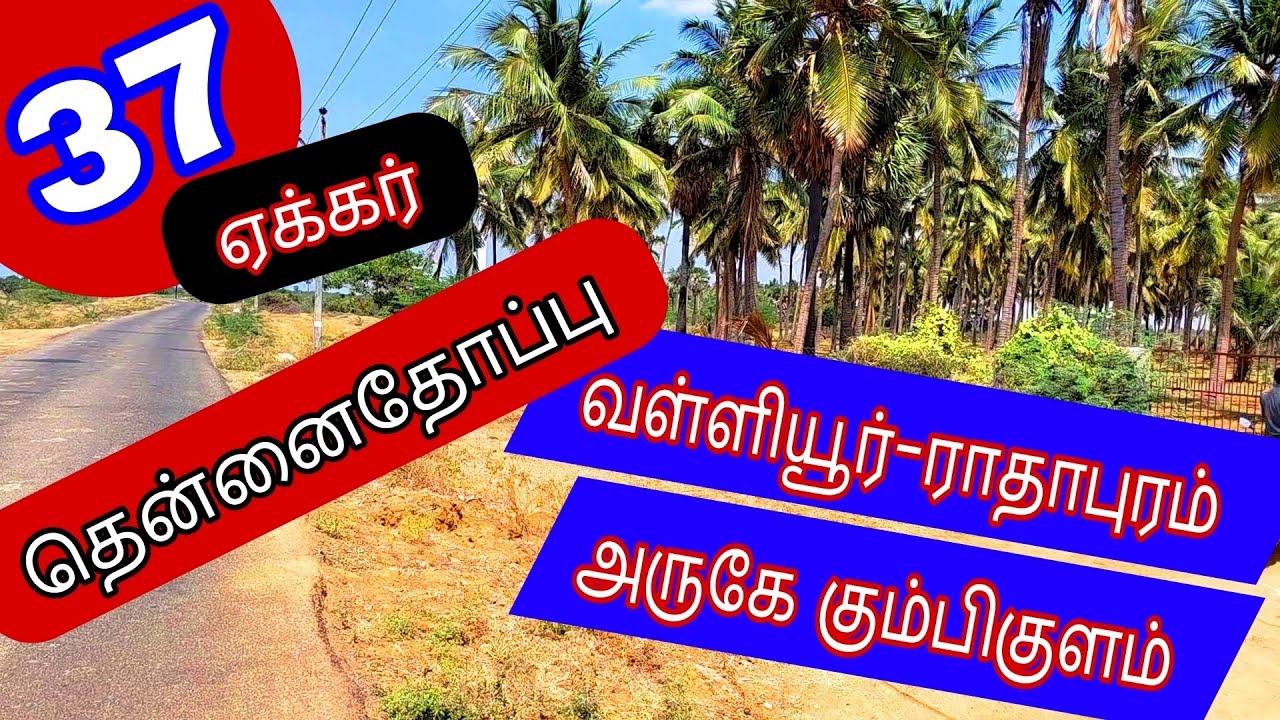 ராதாபுரம் -வள்ளியூரஅருகேகும்பிகுளம், திருச்செந்தூர்ஹைவேஅருகில் 37 ஏக்கர் தென்னைதோப்பு-2413-026.02.20