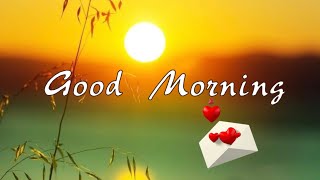 To Love And Be Loved Good Morning Whatsapp Status Good Morning Status Video Good Morning